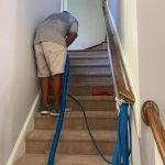 Carpet Cleaning