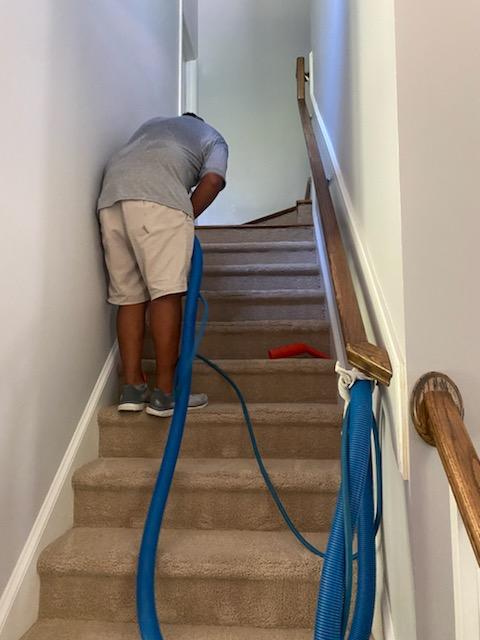 Carpet Cleaning