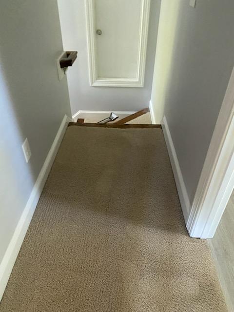 Carpet Cleaning