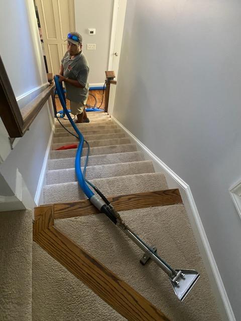 Carpet Cleaning